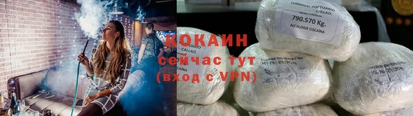 мяу мяу мука Елизово
