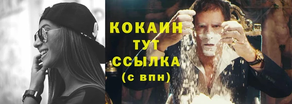 экстази Ельня