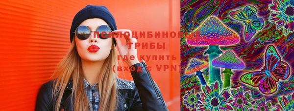 экстази Ельня