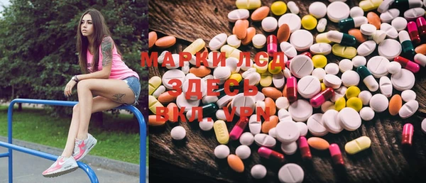 мяу мяу мука Елизово