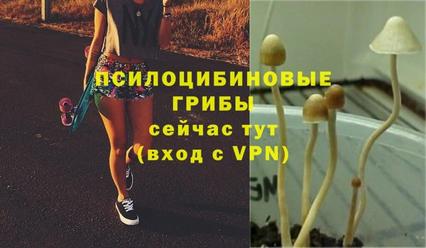 экстази Ельня