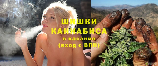 экстази Ельня