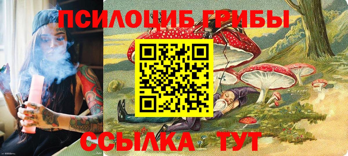 Псилоцибиновые грибы MAGIC MUSHROOMS Сальск