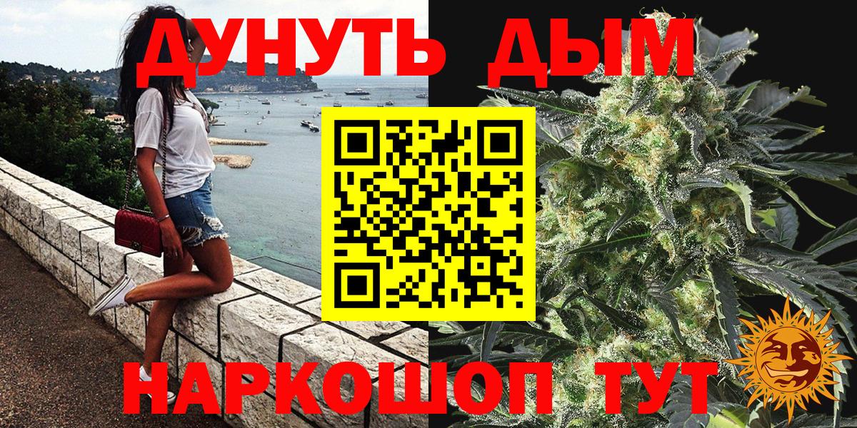 Сальск  Конопля планчик  Вход с VPN  Шишки марихуана VHQ 